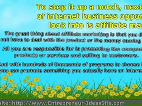 Internet Business Opportunities For You to Take Advantage of