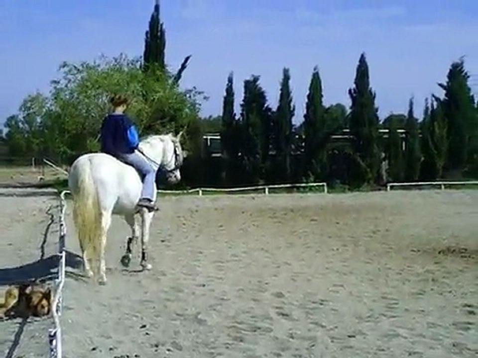 CLIP0052