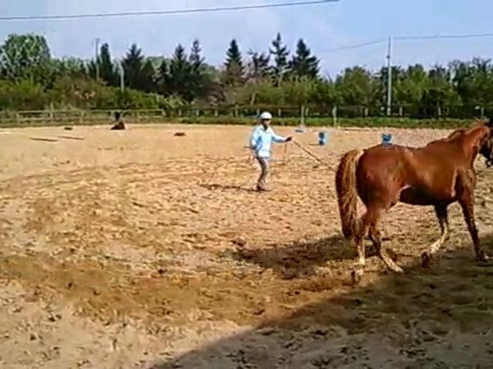 Vidéo0004