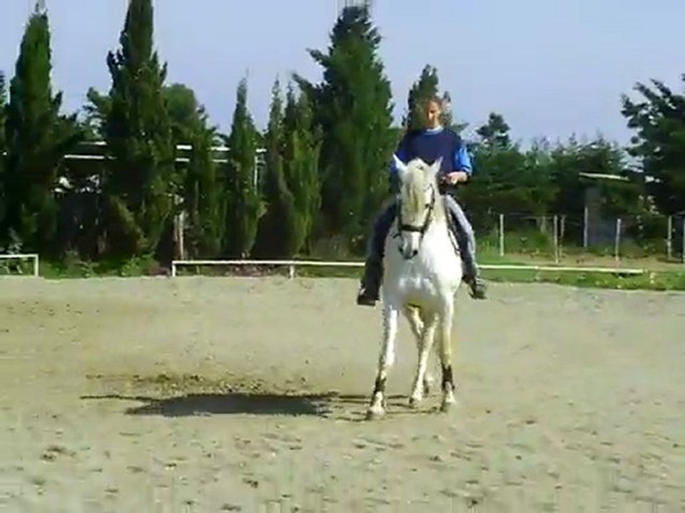 CLIP0056