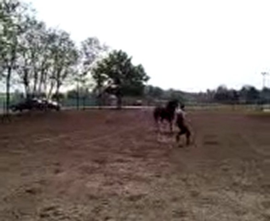 Jeux avec Napo dans le Paddock n°2