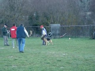 Certificat RCI Chiarra de Val Majour
