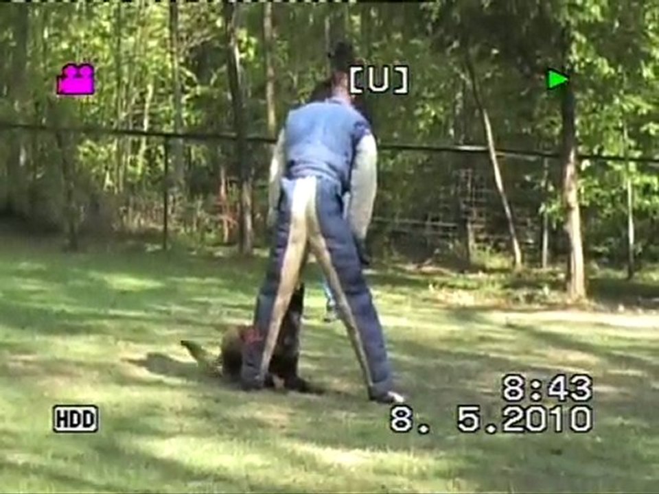 Daher du Domaine de Ste Mathilde à Ons en Bray