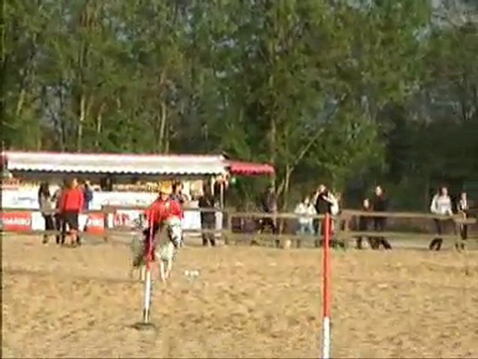 Pony Games Le Logis du Poney Benjamin 1er Mai 2010