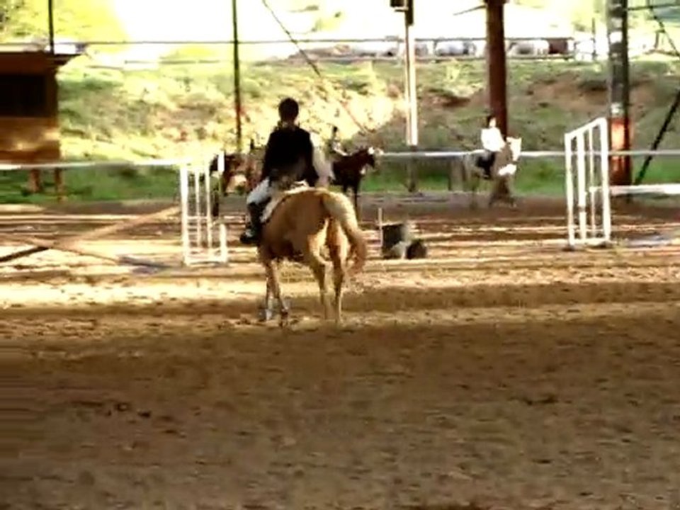 Détente avec Majort, jumping de l'ESC st étienne 8 mai 2010