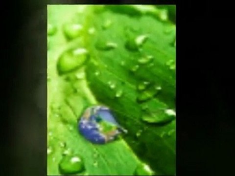 Plug Into Green Profits- Is it for Real!