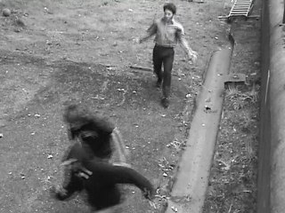 2008-2009 - 2ND - Sur le chemin de la poudre blanche