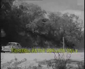 1964 African safari rally