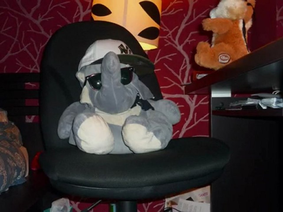 un éléphant