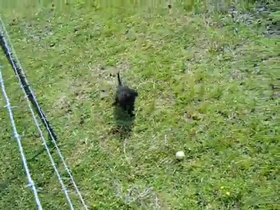 Max Showing how fast he can run!