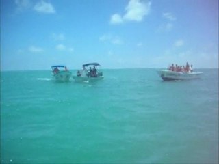 Mon film 8 mai sian kaan