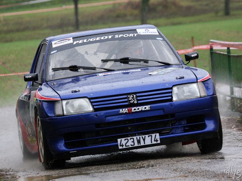 Mini best of Dommerdich / Boretti 205 maxi rallye 2009