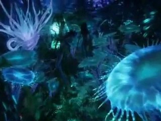 El Tourista feat DJ Crash - Pandora Billie Jean