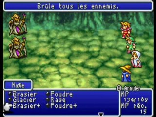 Final Fantasy I 4) Je deteste les marais