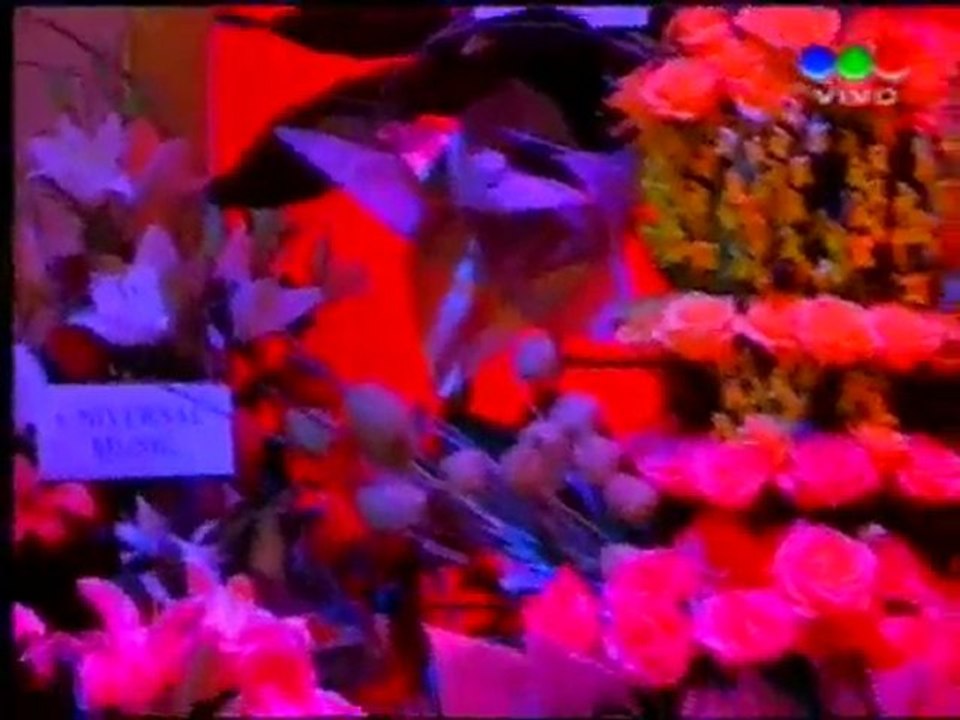Susana GImenez flores 2