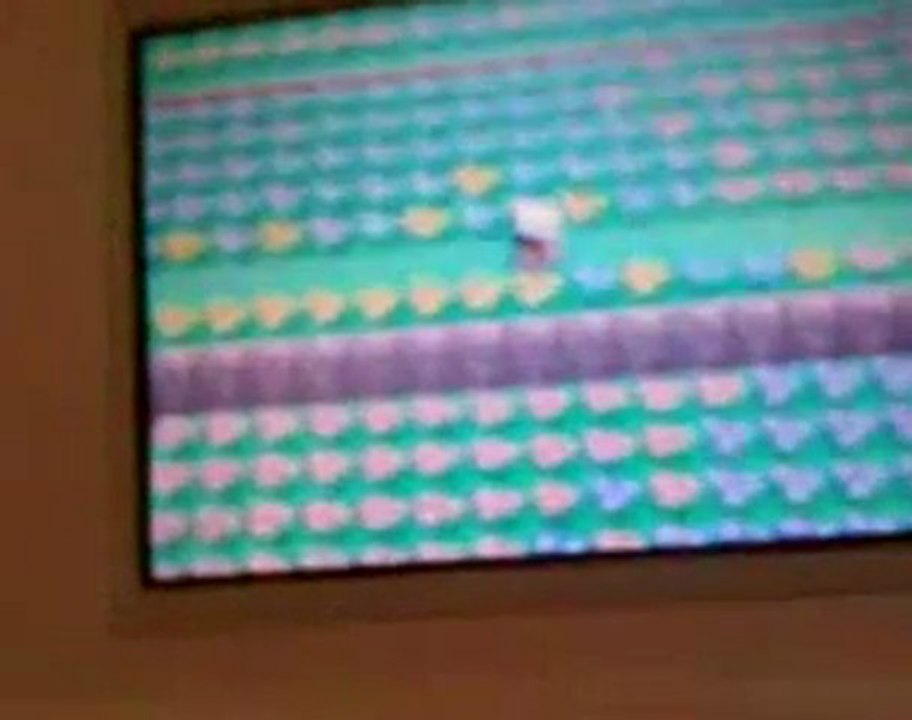 Arcko Shiny