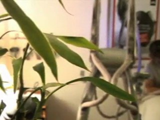 Escale Beauté à Cholet - Institut de beauté et de relaxation