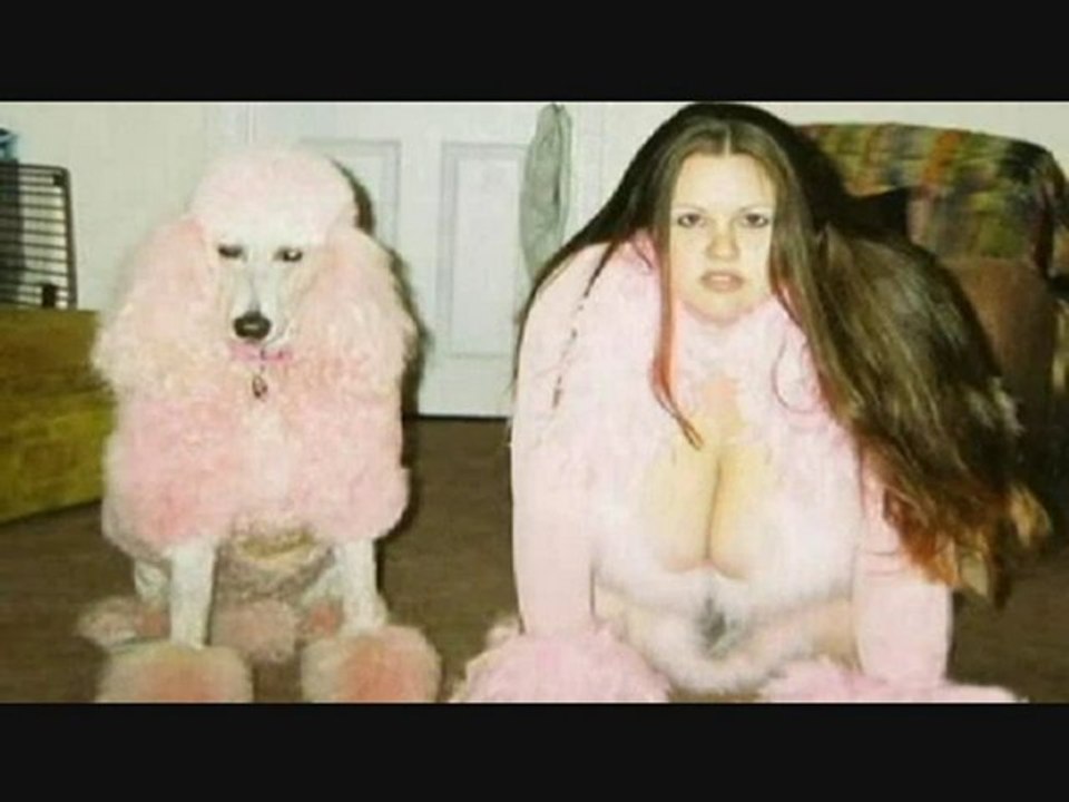 Drole D'Animaux (Images Insolites)