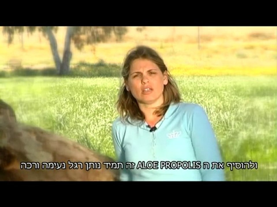 אורנה גזית,פוראוור מוצרי אלוורה