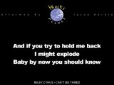 Miley Cyrus - Can't Be Tamed (Instrumental Karaoke)