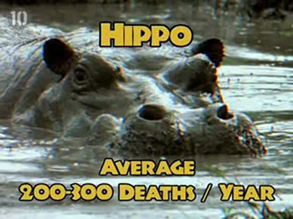 Top 10 Deadly Animals