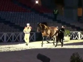 cadre noir & Képi Blanc Répétition Générale 1