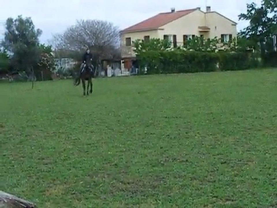 DSCF9171