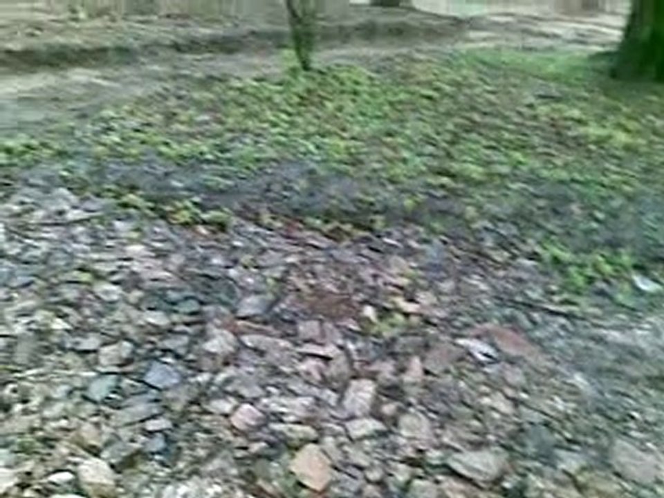 park
