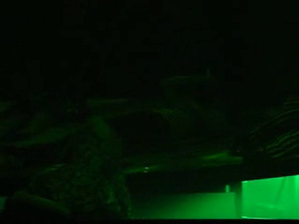 "C'est Mika je suis mort !"