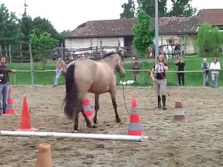 Jeu du reculer (Equifeel 09/05/2010)