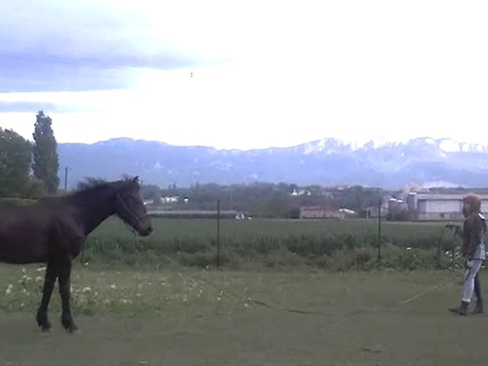 Samedi 8 Mai 2O1O