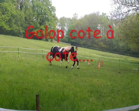 Travail en liberté Rustine, 7 mai 2010