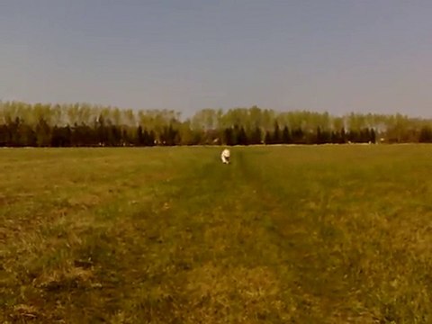 прибытие Деньки