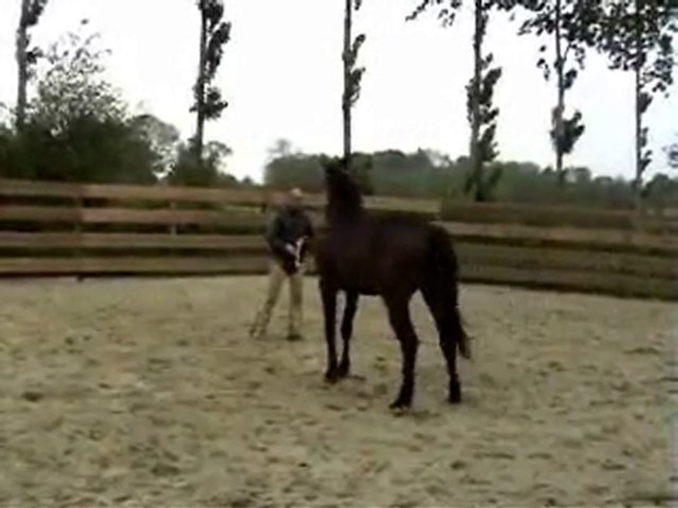 Ultim pré debourrage etape 1