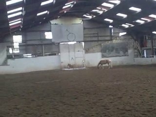 1 mois 7 jours de vie de spirit