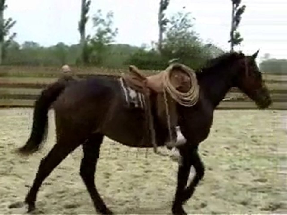 Pré debourrage ultim etape 3