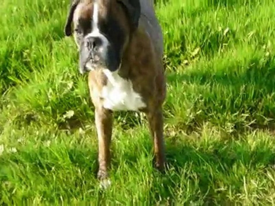 Curly-Verdun sur le Doubs