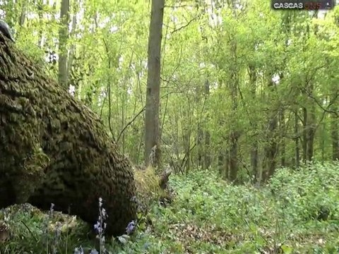 sortie enduro gasgas 9.05.2010