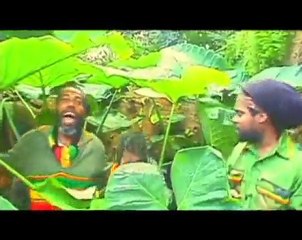 Sylem & Live Wires - High Grade