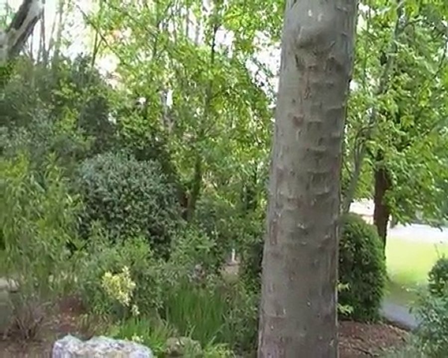 Avignon 05
