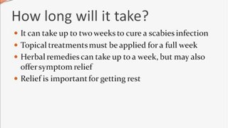 Cure Scabies