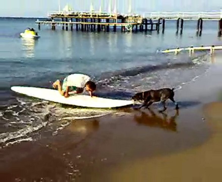 tank VON HASENPFAD hakani surfle getiriyo DRAHTHAAR