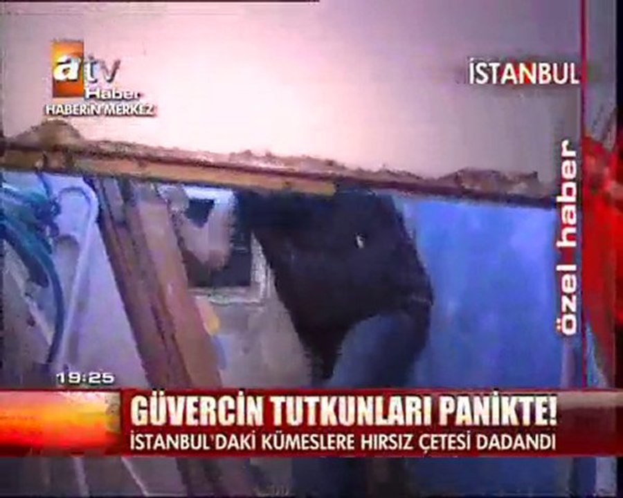 güvercin hırsızları,yılmaz veli gaziantep