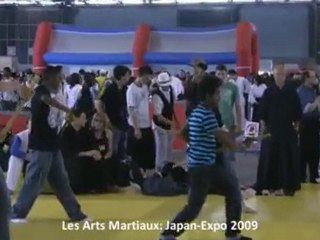 Les arts martiaux à la Japan Expo 2009 extrait HD