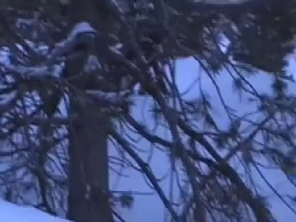 West Trip -  Sequoia and Kings canyon