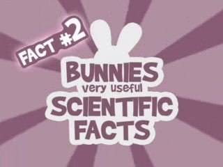 les lapins ne savent pas...#2