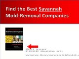 Savannah Mold Remediation Contractors - Free Guide to Best
