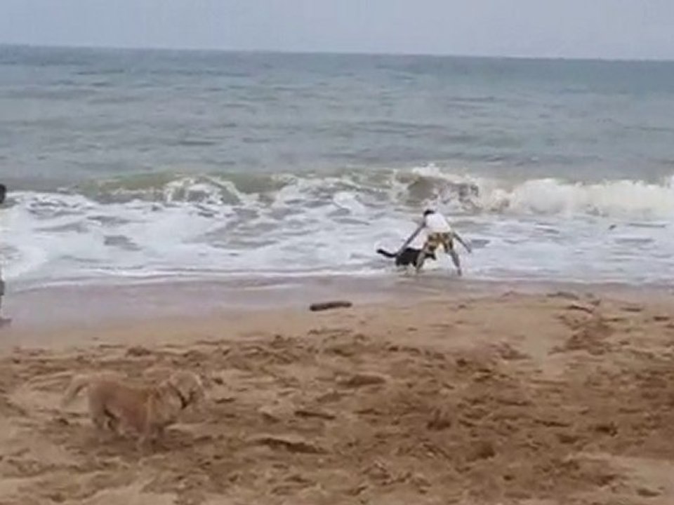 Rama..sseuse de balles