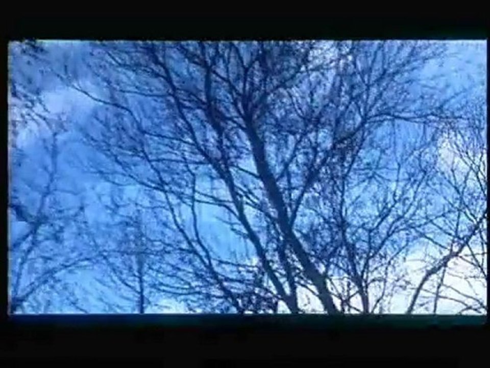 Un monde parfait -  bande-annonce