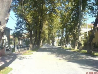 Sındırgı Fotoğrafları  Slayt Gösterisi